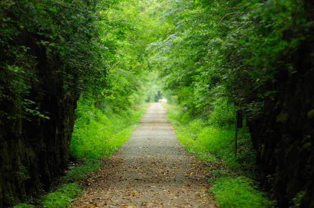 Tunnel Hill Trail, c. The Southern