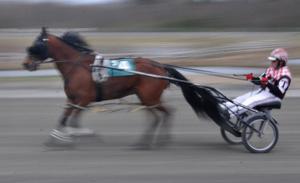 Plainridge Harness Opening Day 2