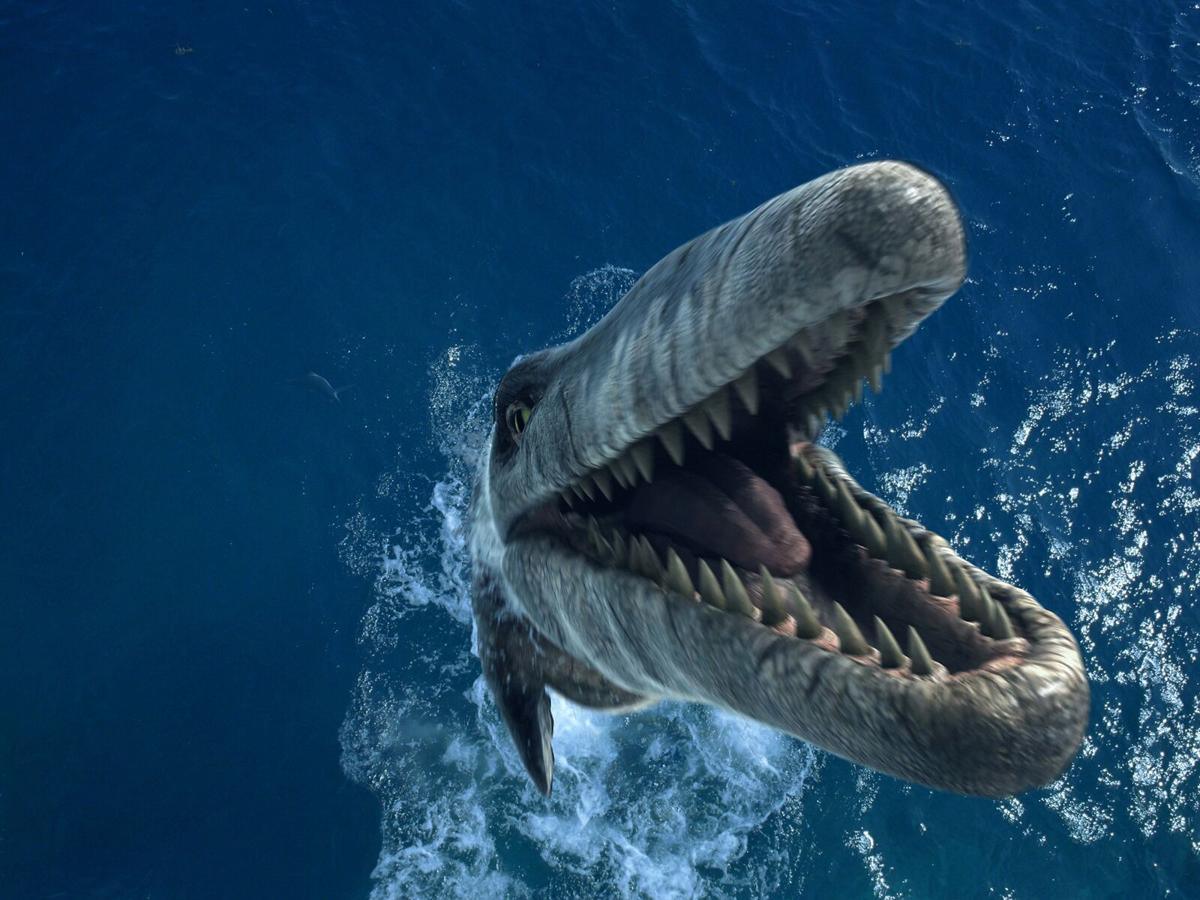 t rex of the ocean