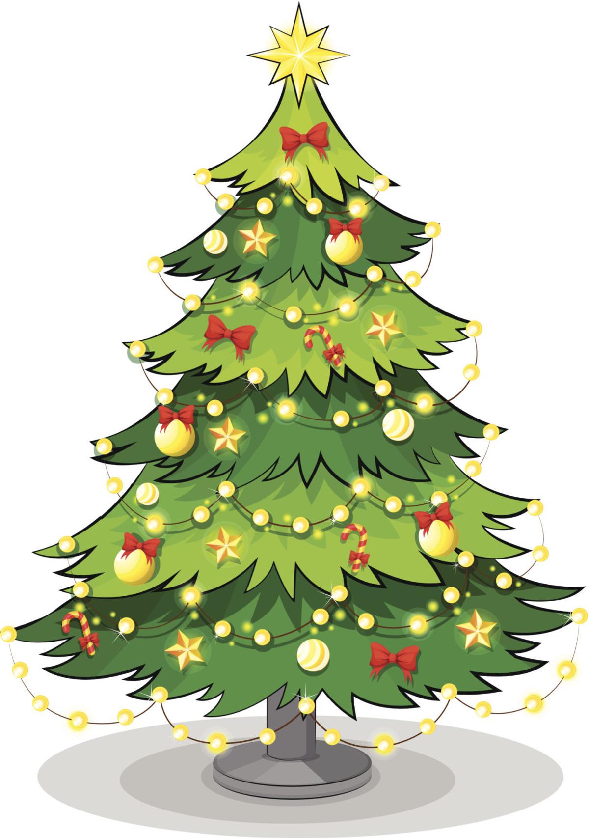boy scouts offer christmas trees at two locations south boy scouts offer christmas trees at two locations south