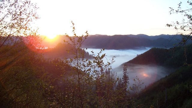 Meet with opponents of Elliott State Forest sale