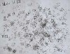 Youngster earns spot in D.C. art show