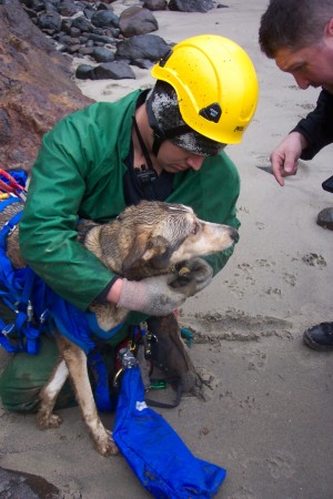 Dog Rescue