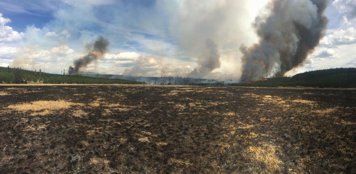 New fires sparked in Yellowstone Wyoming News