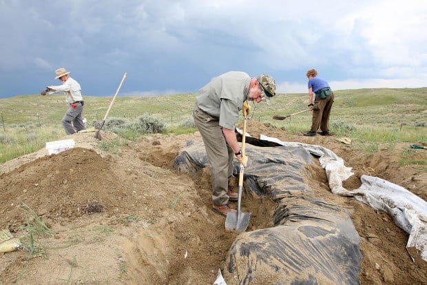 t rex dig sites