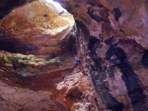 Ancient mammal fossils to be excavated in Wyoming cave Ancient mammal fossils to be excavated in Wyoming cave