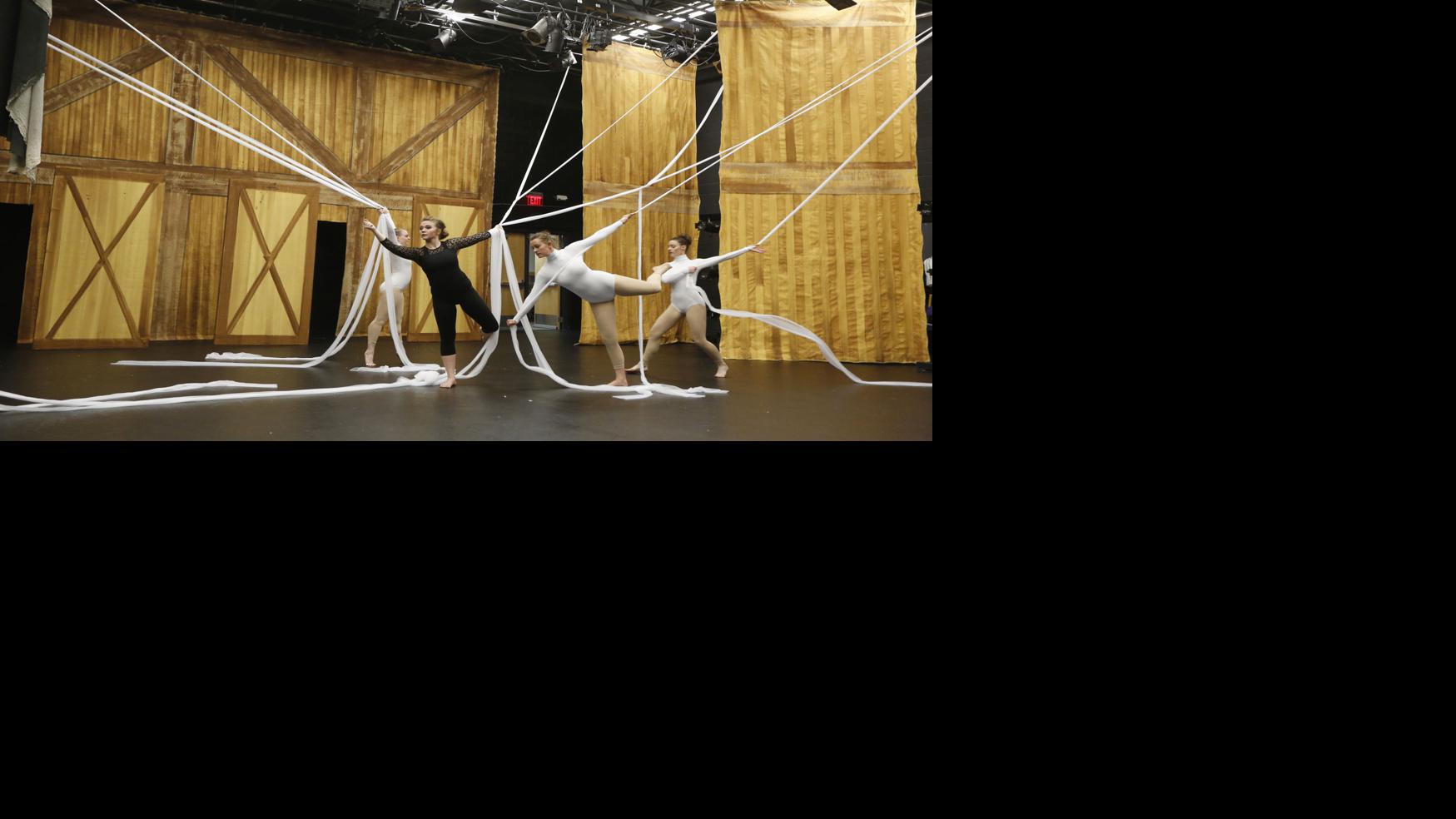 Animals tell story of friendship and worth in 'Charlotte's Web' dance production - Casper Star-Tribune Online