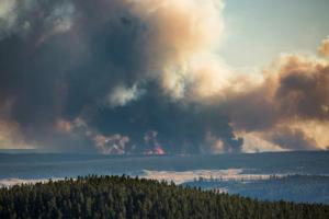 Wyoming sees another light wildfire season