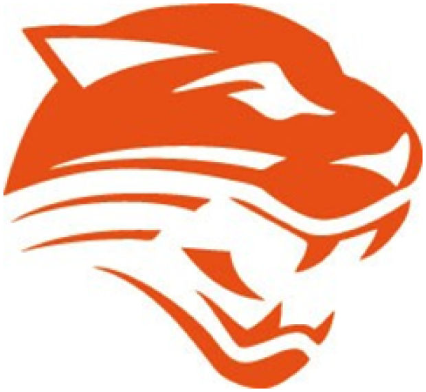 Powell names interim football coach Football