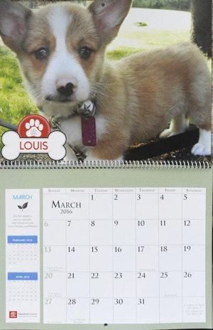 toyota dog days calendar #3 toyota dog days calendar #3