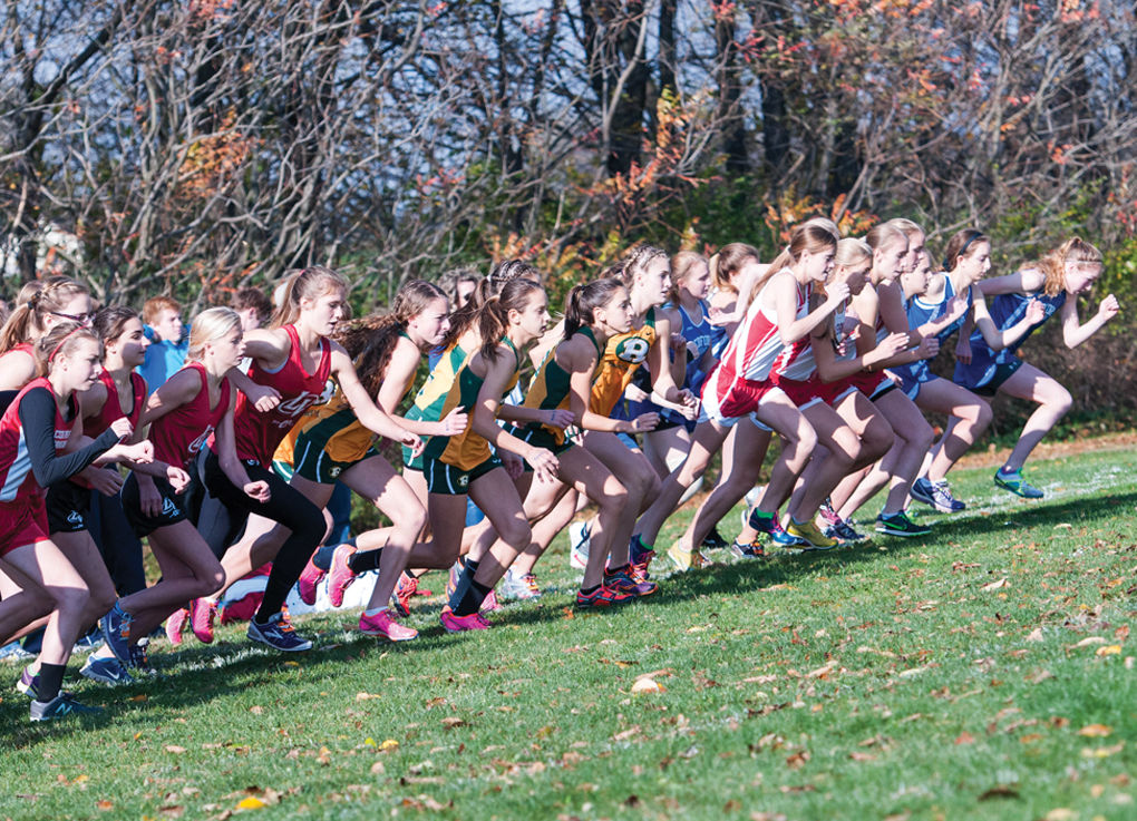 Red Devils dominate D6A girls championship meet Local Sports