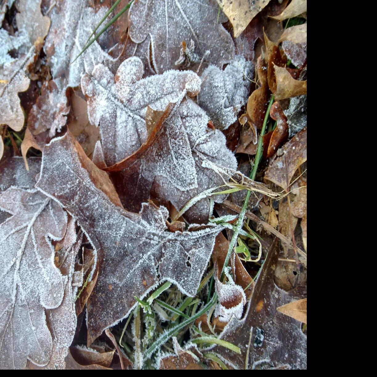 What season is it? The answer could affect the way your brain works