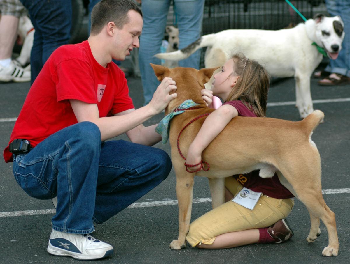 Give Dog Up For Adoption Chicago Give Dog Up For Adoption Chicago