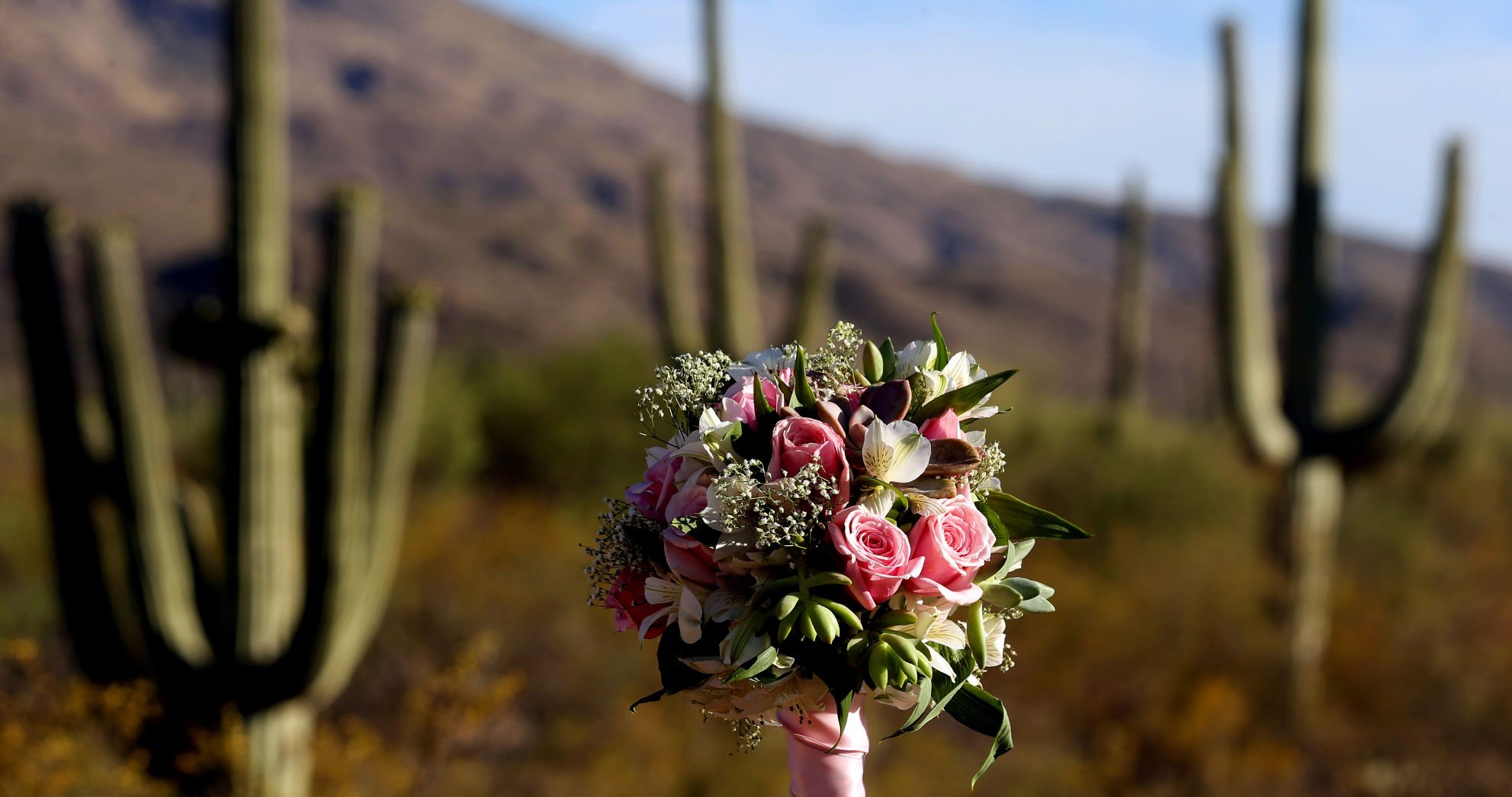 Order adorable bookish décor for your wedding from this online Tucson shop, Tucson Wedding Guide