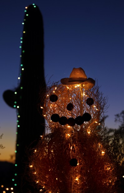 Holiday Nights at Tohono Chul Park