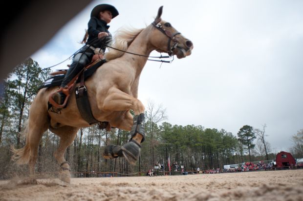 Animal shots of the week