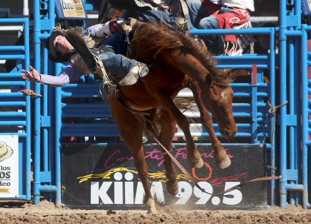 2013 Tucson Rodeo
