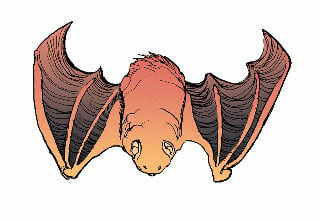 liste de gilles bat tail clipart