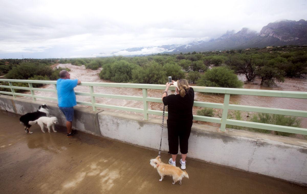 Tucson Monsoon 2014