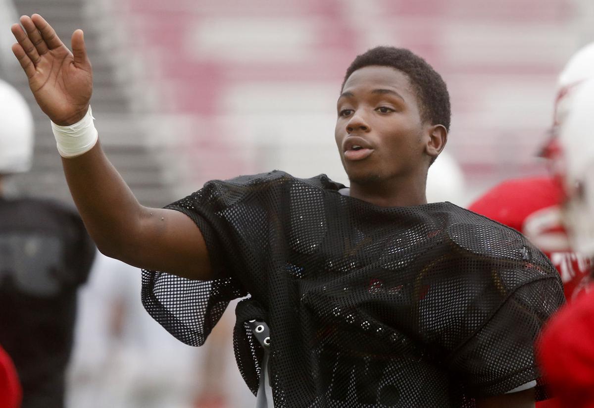 High school football players to watch in 2014: Austin Perkins