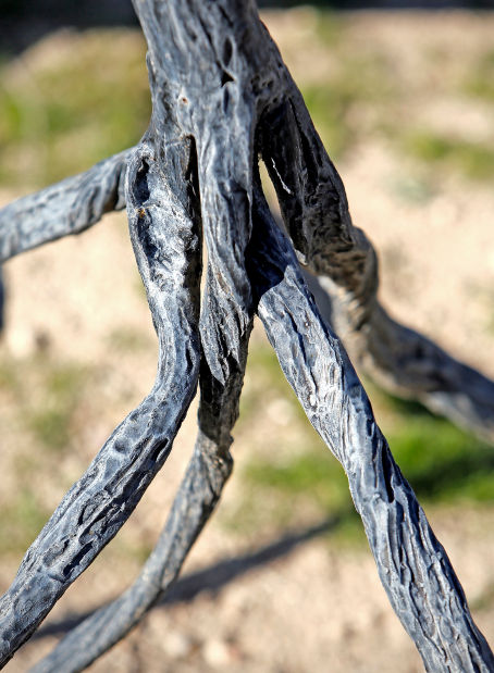Wiesenfeld Sculptures