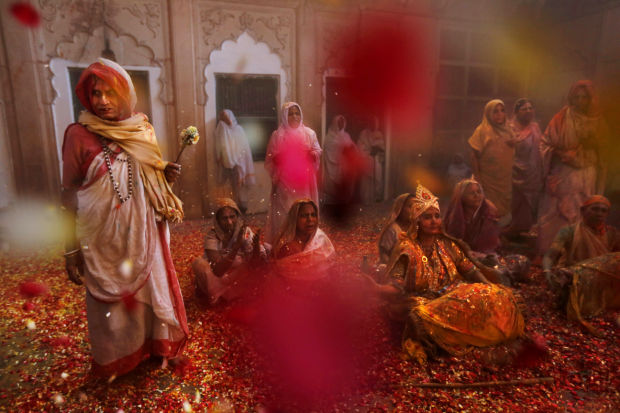 India Holi Festival Widows