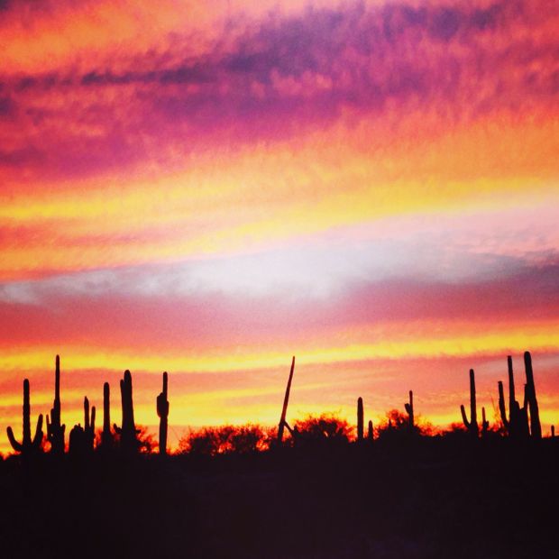 Star Readers capture the sunset