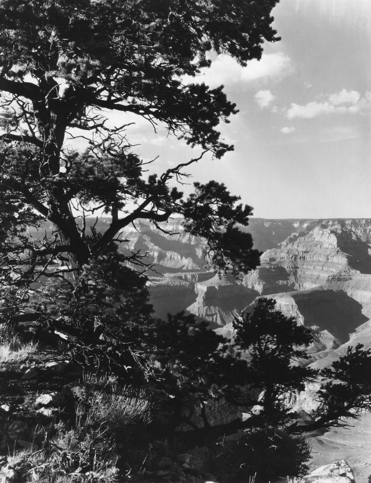 Grand Canyon