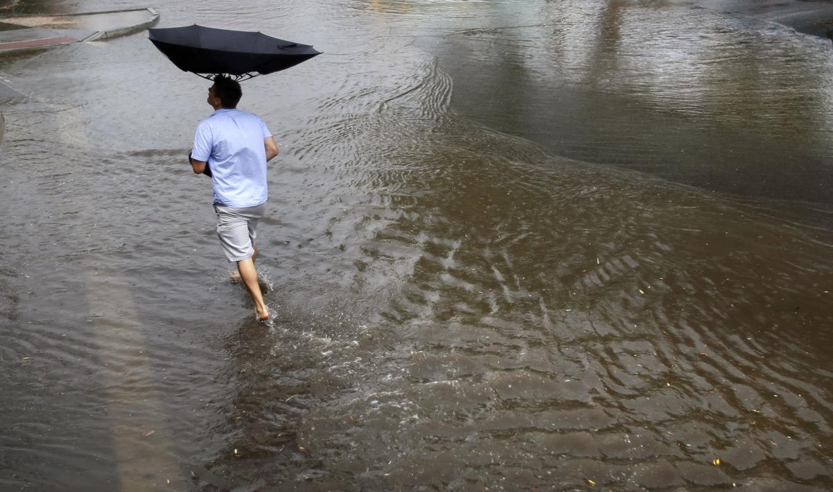 Monsoon 2014
