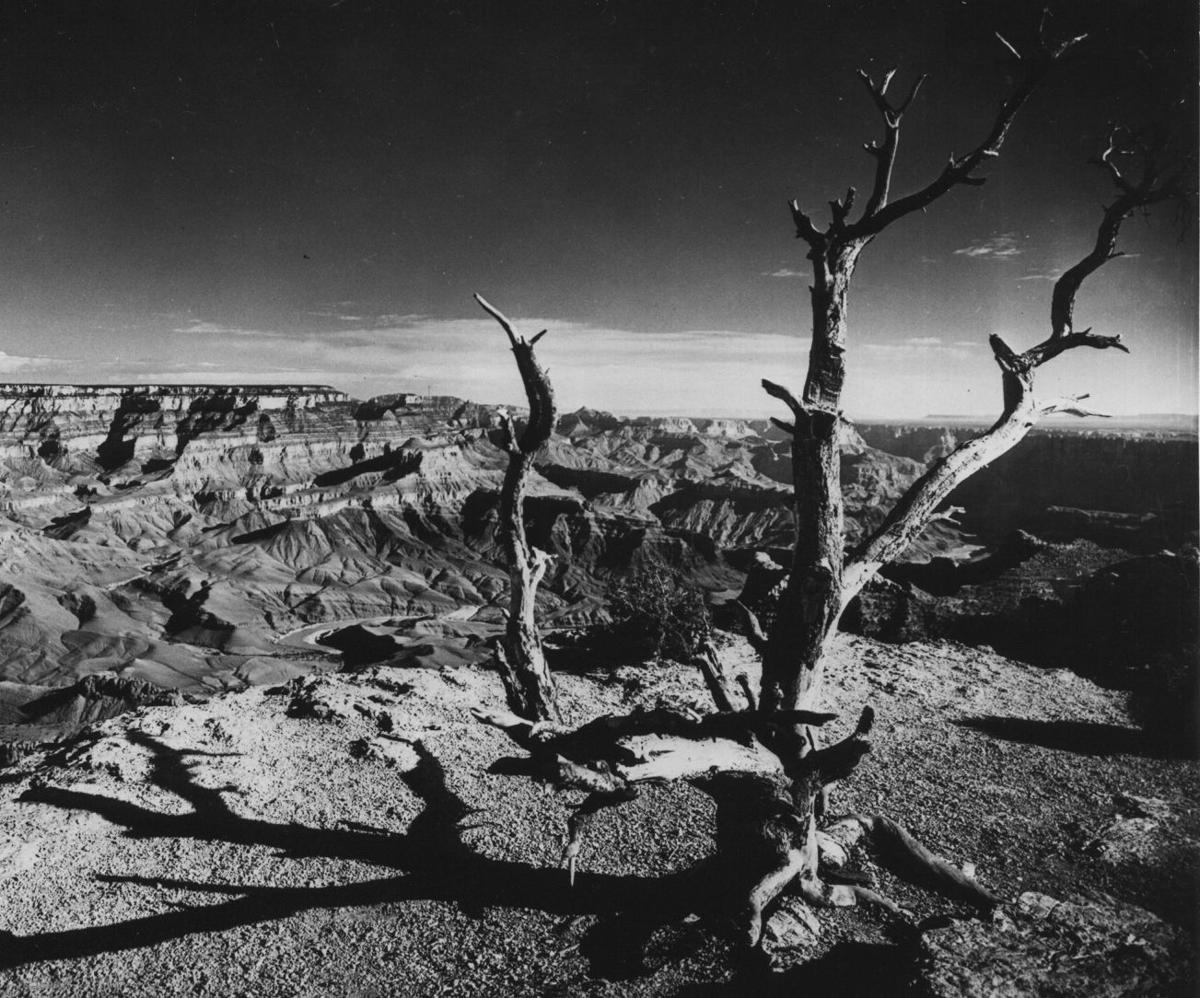 Grand Canyon