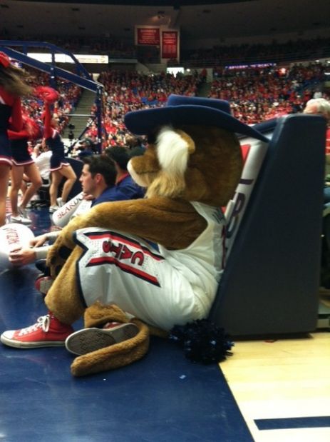University of Arizona Fan Fave Contest