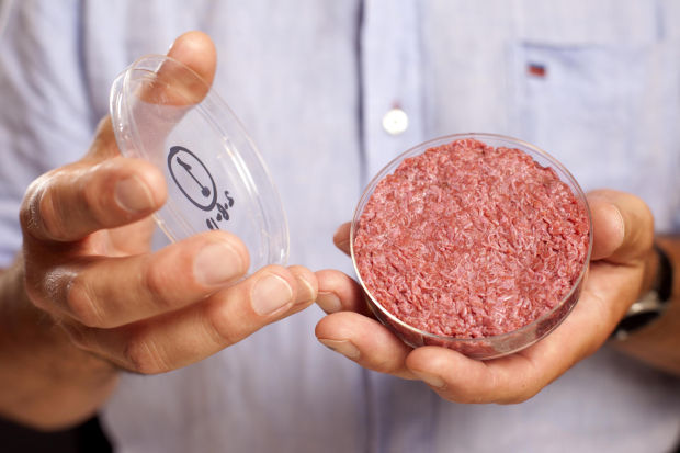 Stem cell burger, anyone?
