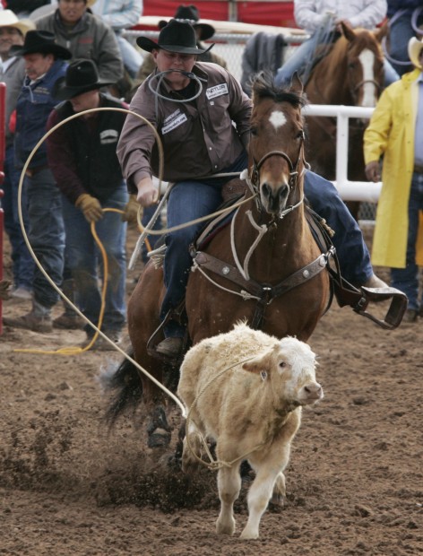 Rodeo