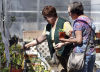 Master Gardener Mary Beth Murphy, left, helps Debby Bryson, right, with a selection of herb plants at the annual Pima County Master Gardeners Spring Plant Sale in 2013. | Mike Christy / Arizona Daily Star
