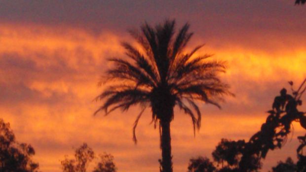Star Readers capture the sunset