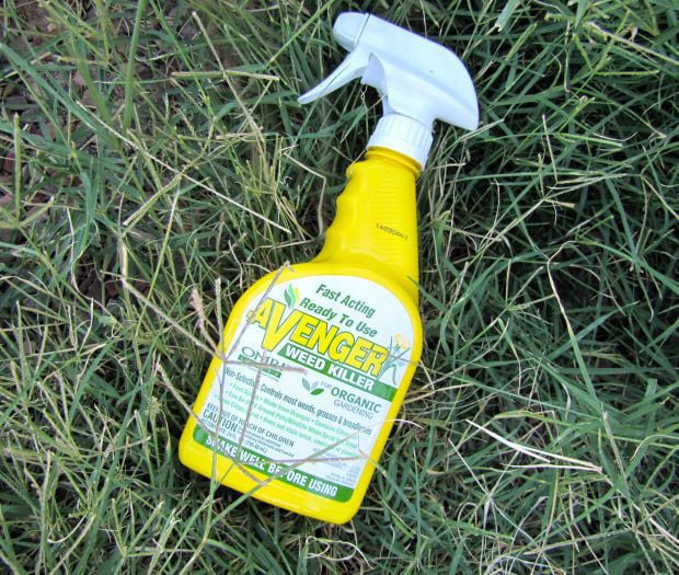 Make your own eco-friendly weed killer