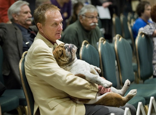 Dog Show At Pima County Fairgrounds November Dog Show At Pima County Fairgrounds November