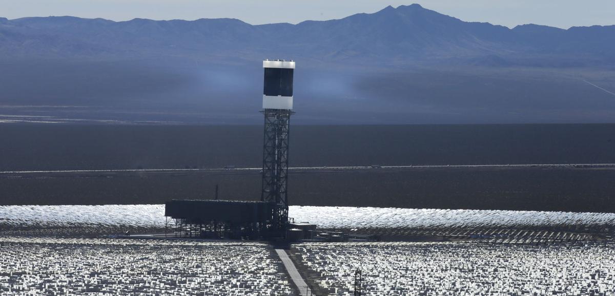 Solar plant scorches birds