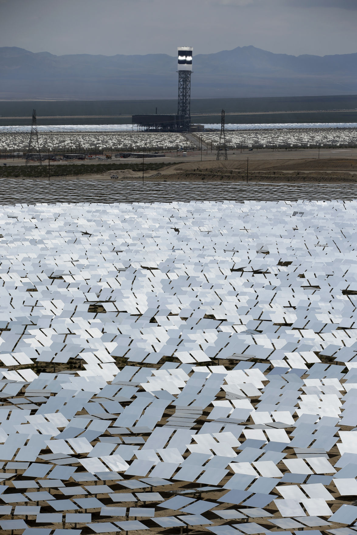 Solar plant scorches birds