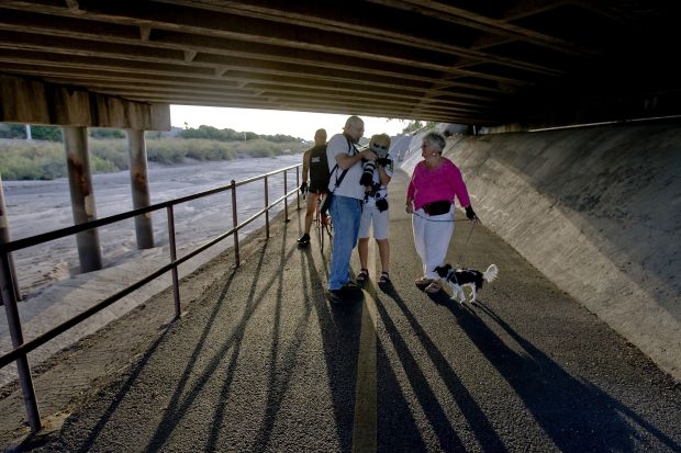 Bats take flight in Tucson