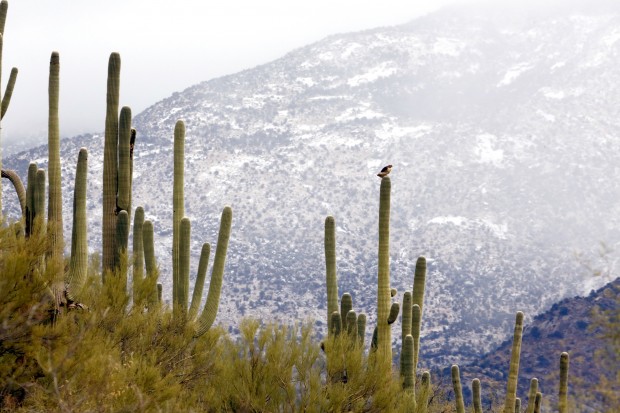 Snow on mountains around Tucson