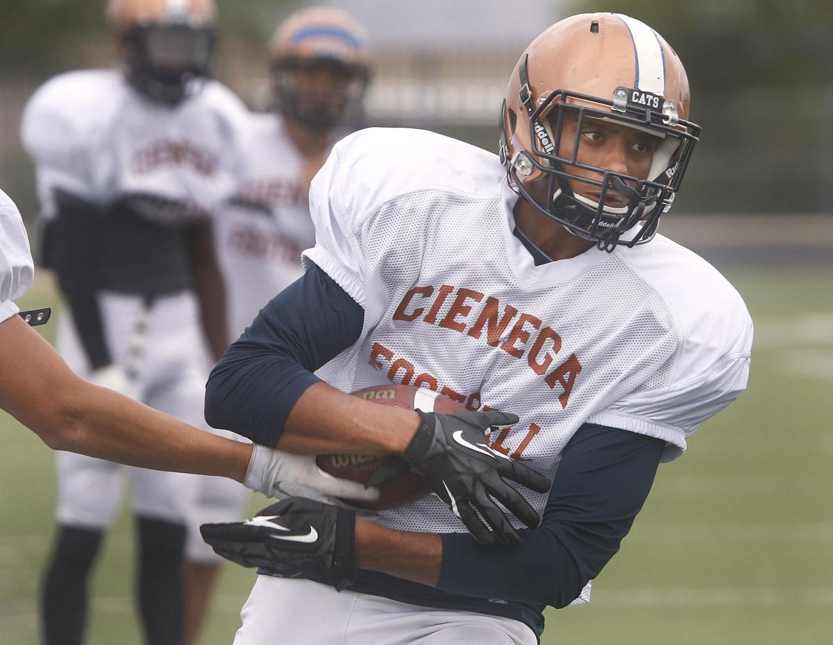 High school football players to watch in 2014: Terrence Johnson