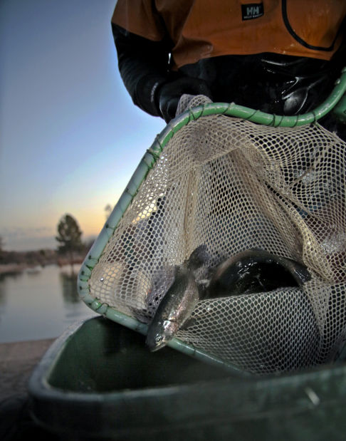 Urban fishing: A lot of people are hooked