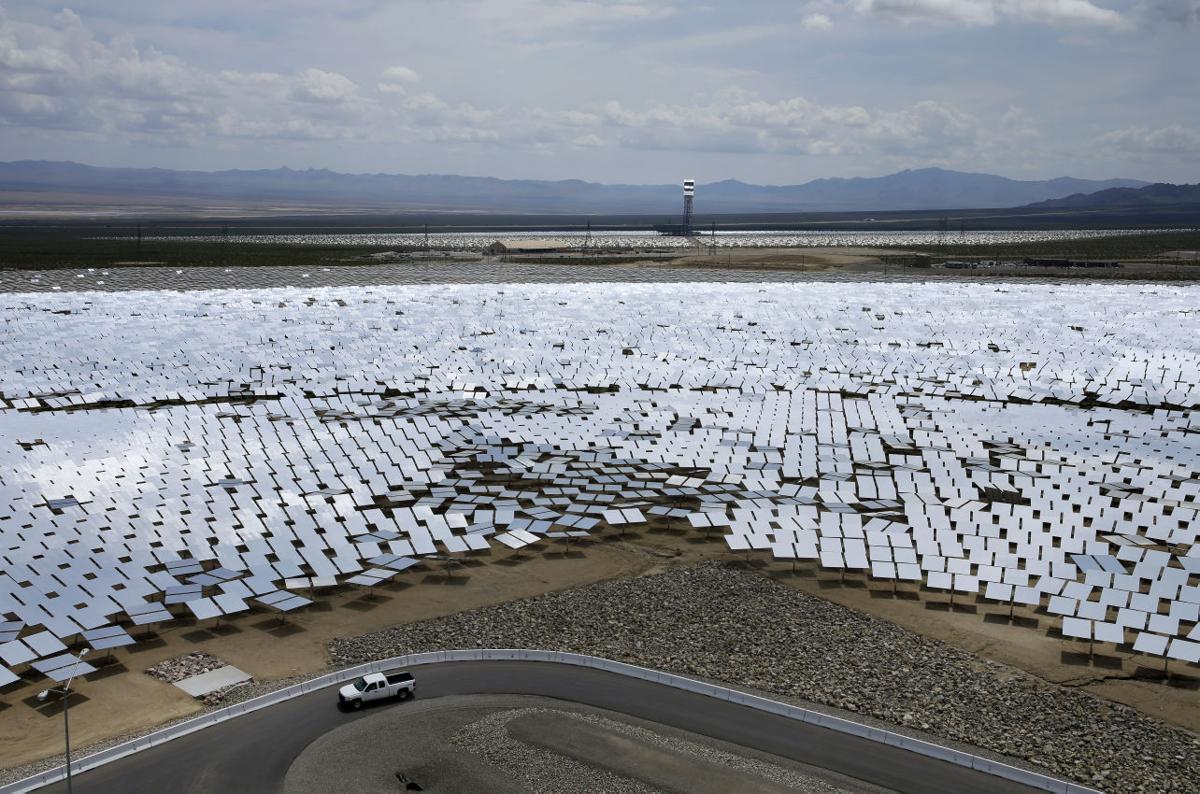 Solar plant scorches birds