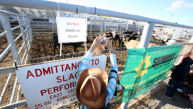 2013 Tucson Rodeo