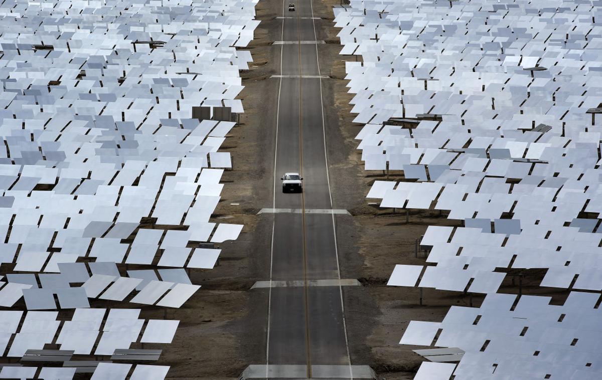 Solar plant scorches birds
