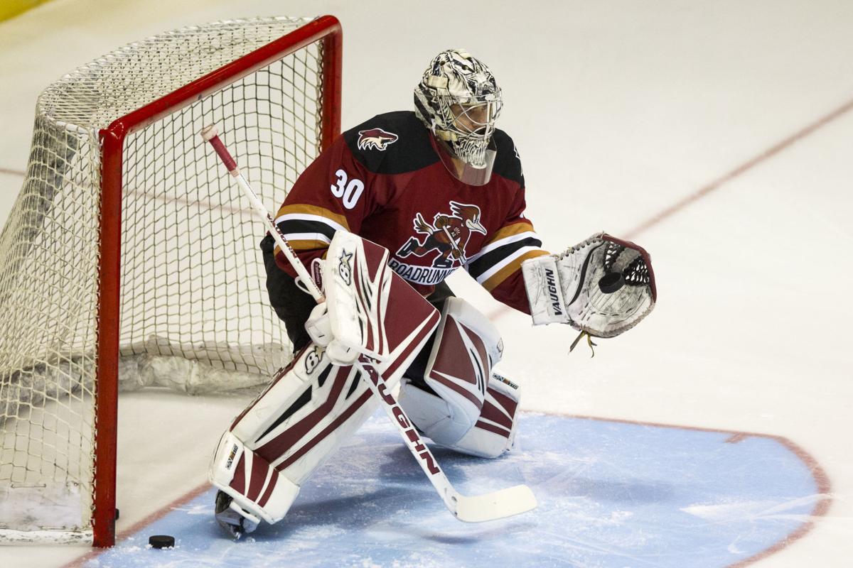 Tucson hockey Everything need to know as Roadrunners season