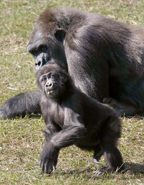 Animal shots of the week