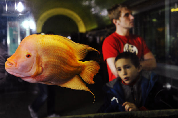 Animal shots of the week