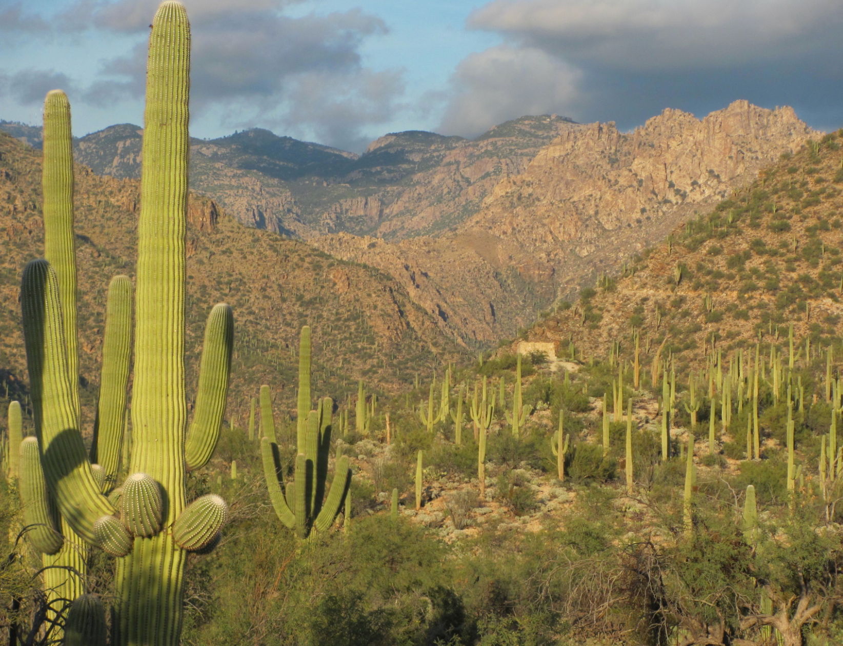 tucson doppler radar